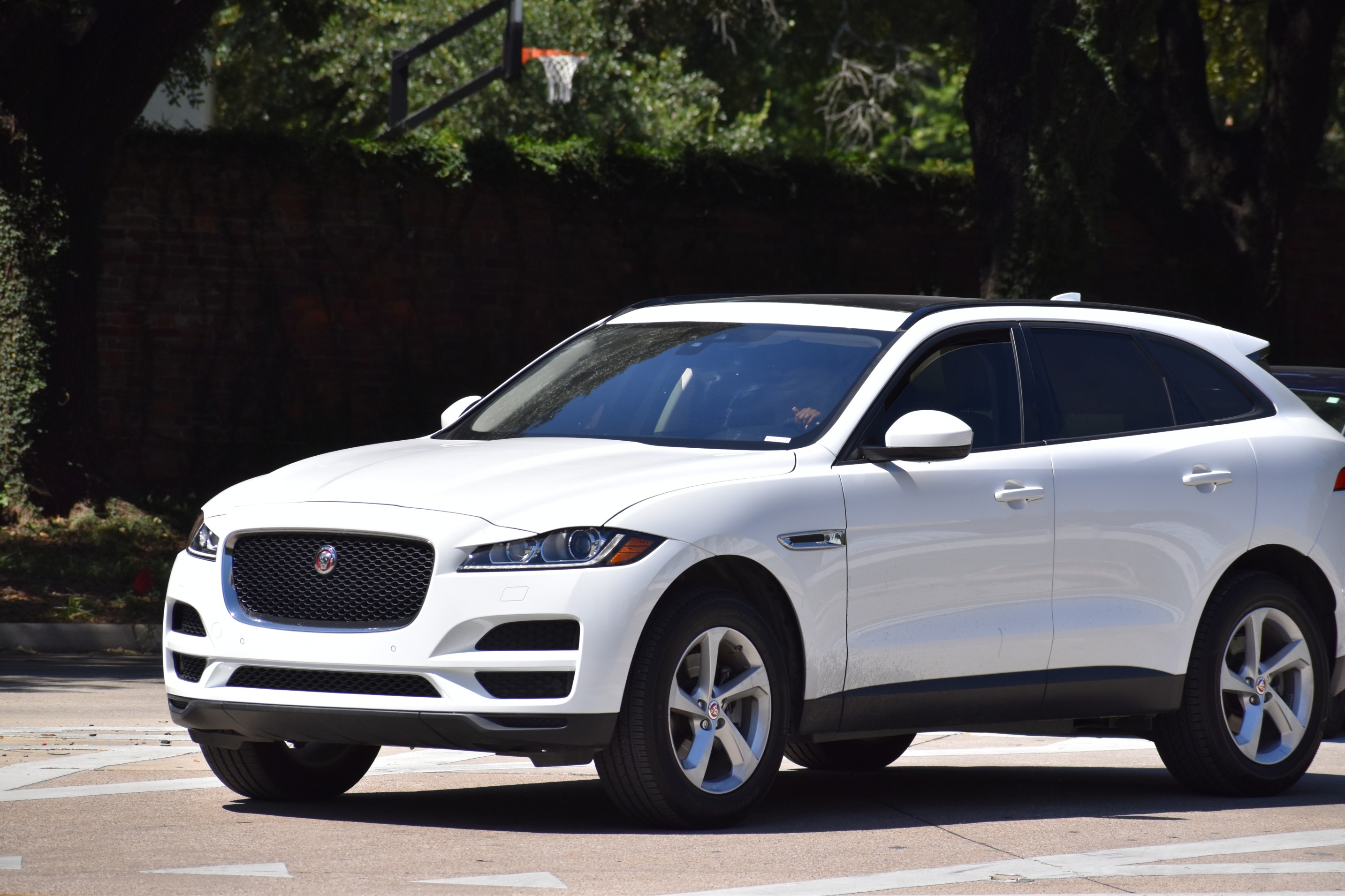 Jaguar used engines vehicle image